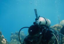 Nickardo carefully explores the reef during a dive