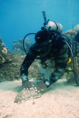 Nickardo carefully explores the reef during a dive