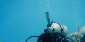 Nickardo carefully explores the reef during a dive