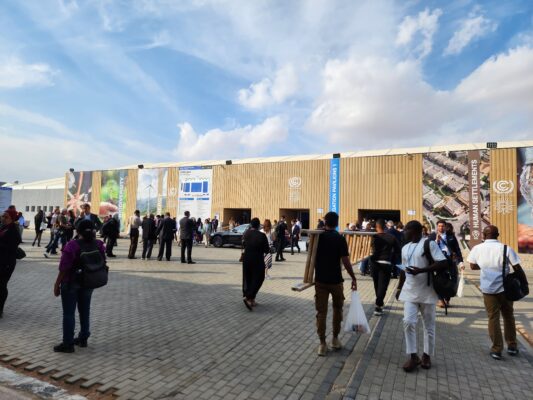 Delegates-at-the-UN-Climate-talks-in-Egypt-last-week-scaled.