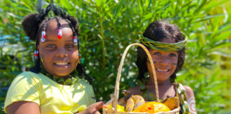 (from left) Arianna Whittingham and J’Heneilia Powell from Mount Airy Infant School were clad in their depiction of the Tianos at the school’s recently held heritage day celebration.